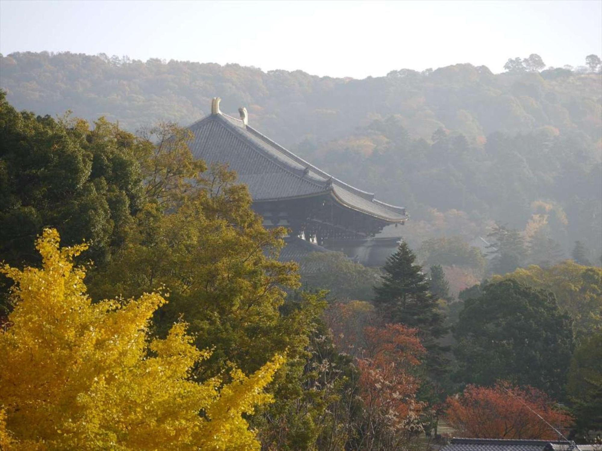 ホテルニューわかさ 旅館 奈良市