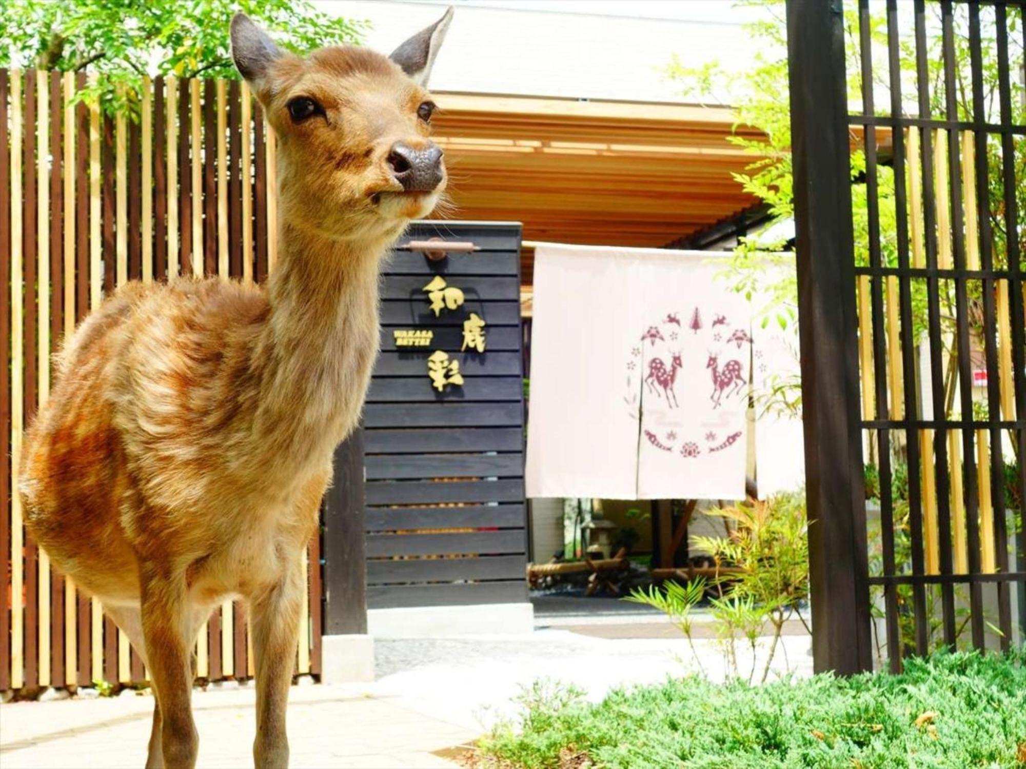 ホテルニューわかさ 旅館 奈良市
